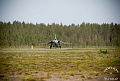 J-35 Draken (11)